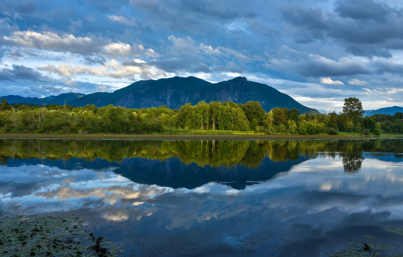Фото обои лес, горы, озеро, отражение, Washington, штат Вашингтон, King County, Округ Кинг