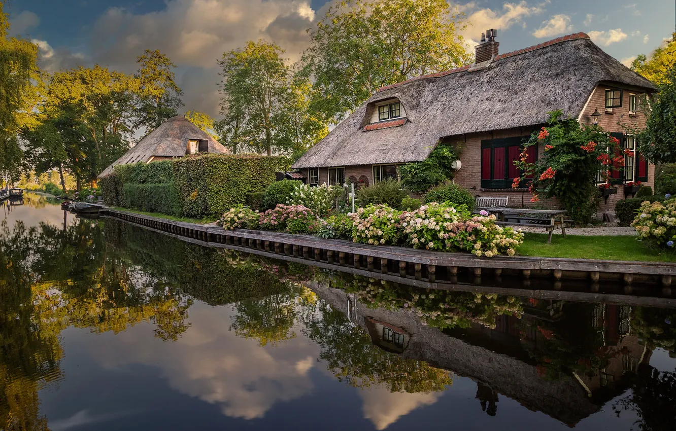 Фото обои лето, небо, облака, деревья, пейзаж, цветы, ветки, природа