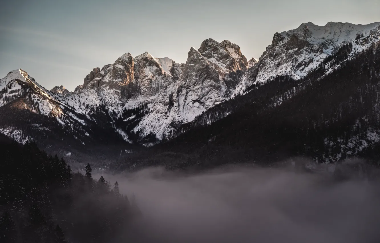 Фото обои зима, небо, снег, деревья, горы, природа, туман, скалы