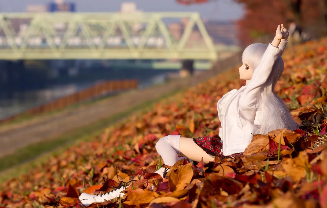 Фото обои листья, мост, природа, игрушка, кукла, руки, сидит, сиреневые