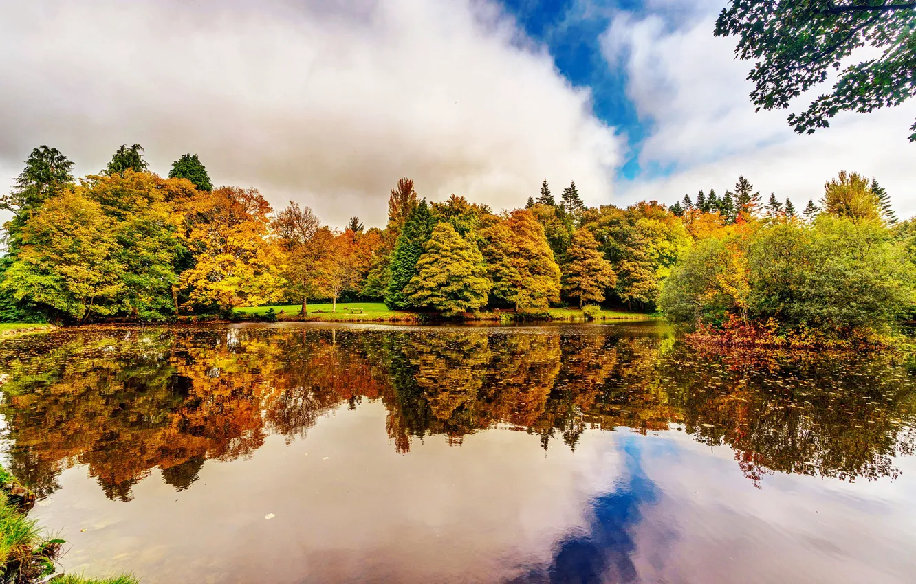 Фото обои осень, деревья, отражение, река, сад, Ирландия, Botanic Gardens Dublin