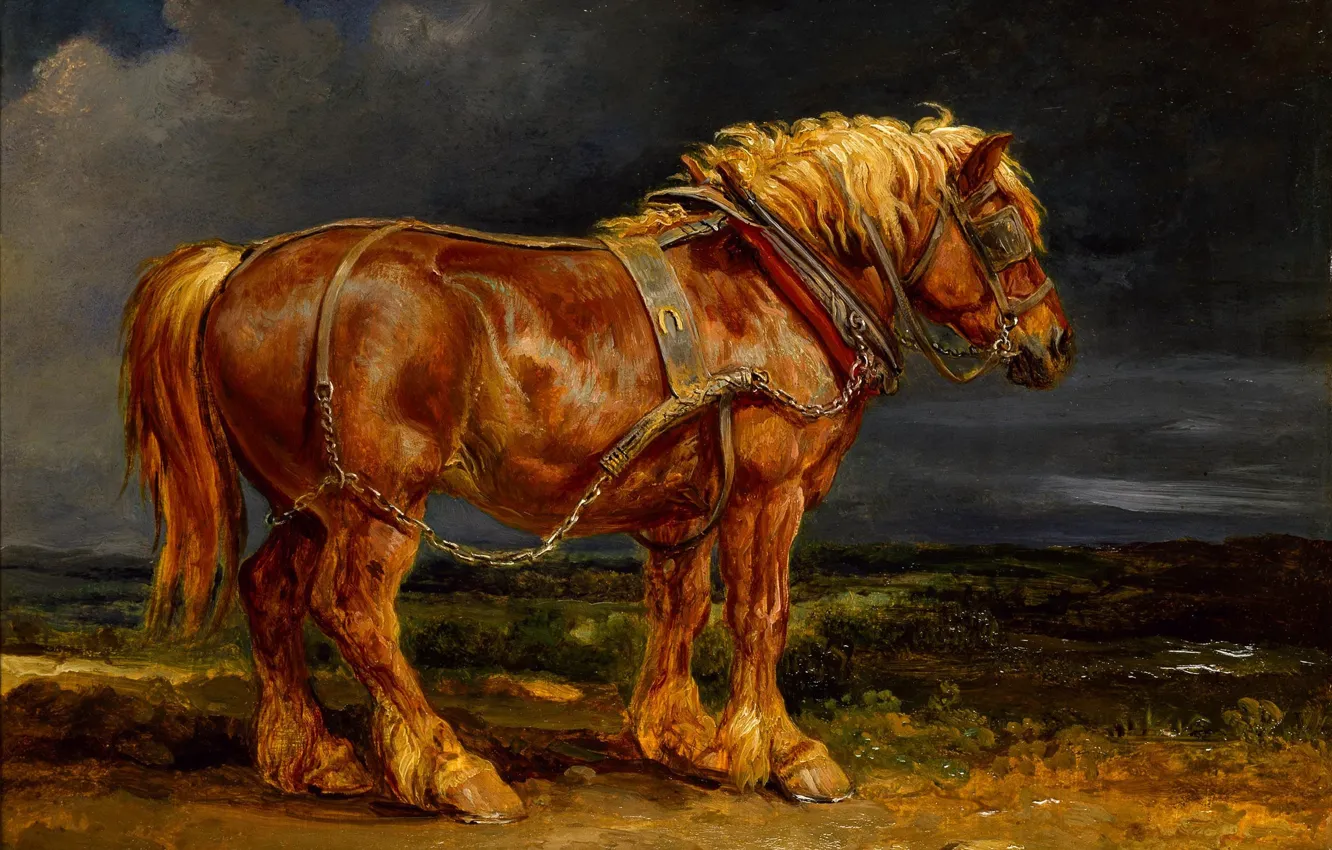 Фото обои тучи, конь, лошадь, рыжий, живопись, сбруя