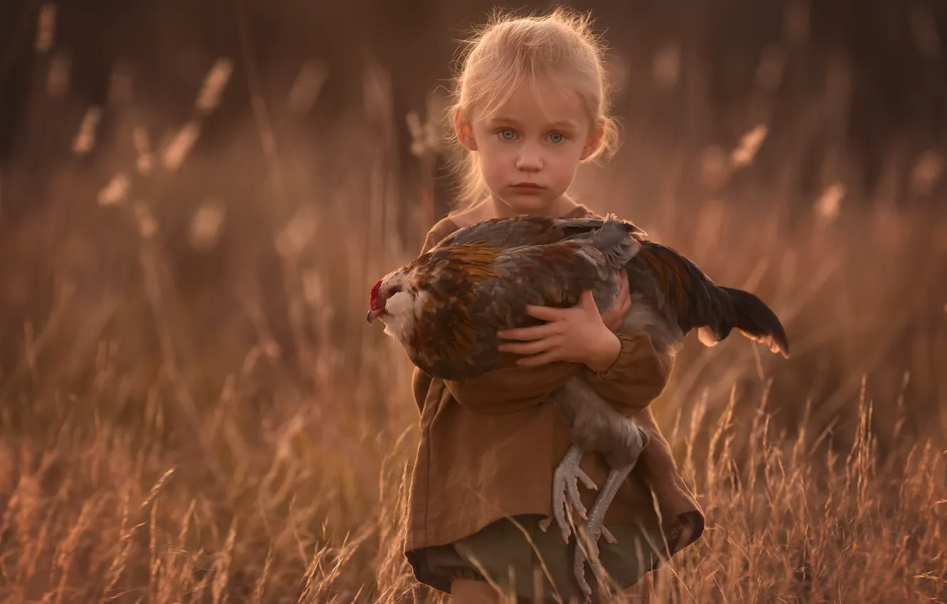 Фото обои поле, поляна, курица, девочка, Lisa Holloway