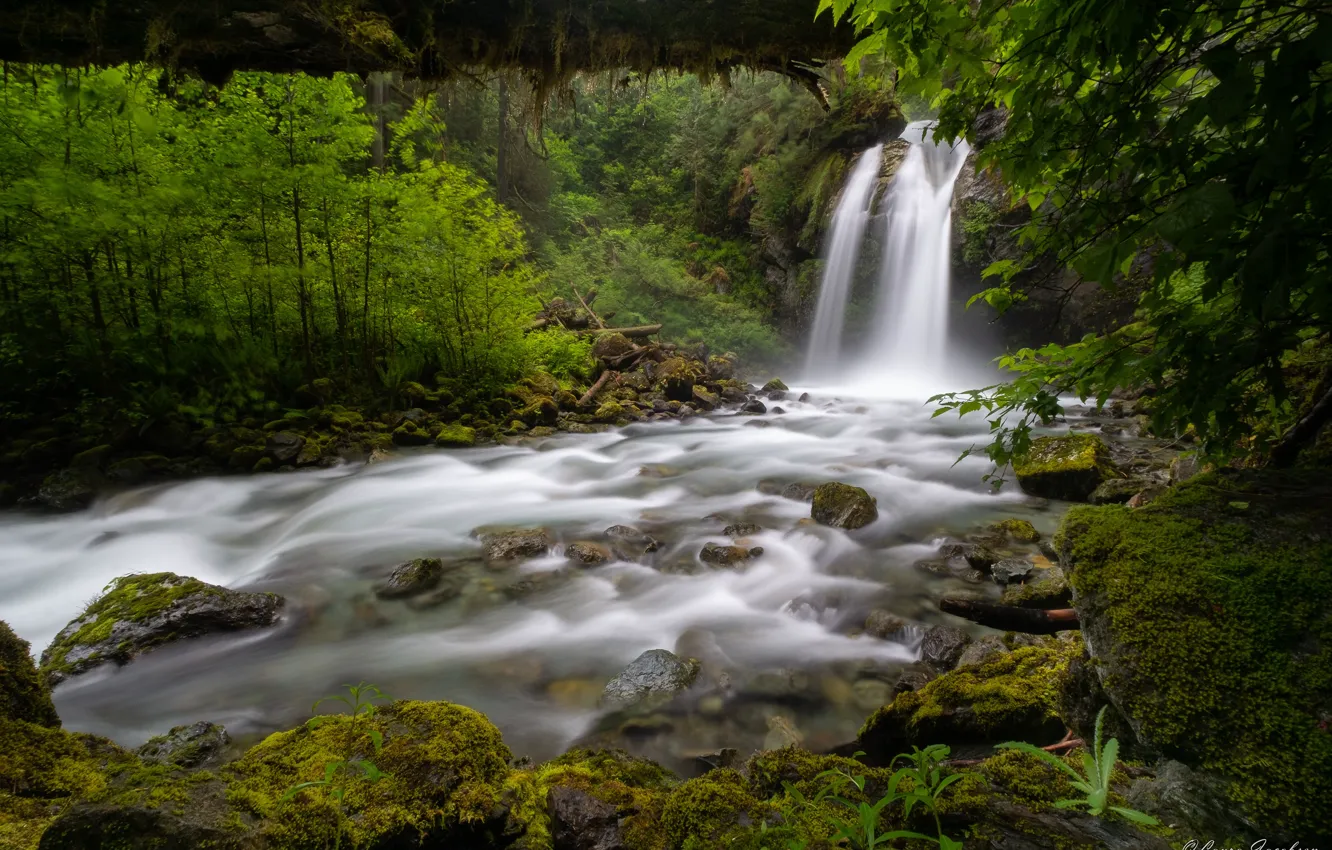 Фото обои лес, река, водопад, штат Вашингтон, Washington State, North Cascades National Park, Национальный парк Норт-Каскейдс
