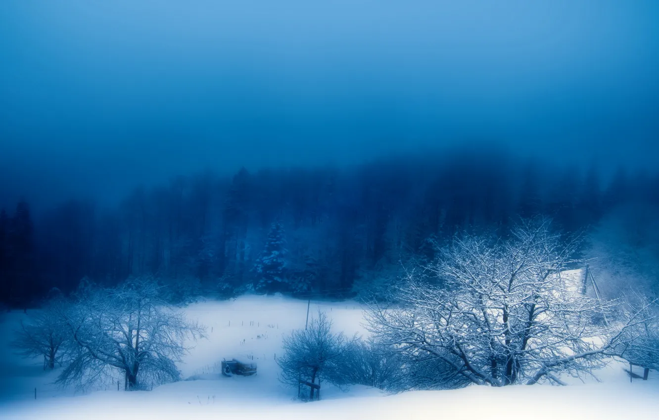 Фото обои зима, снег, природа, туман, вечер