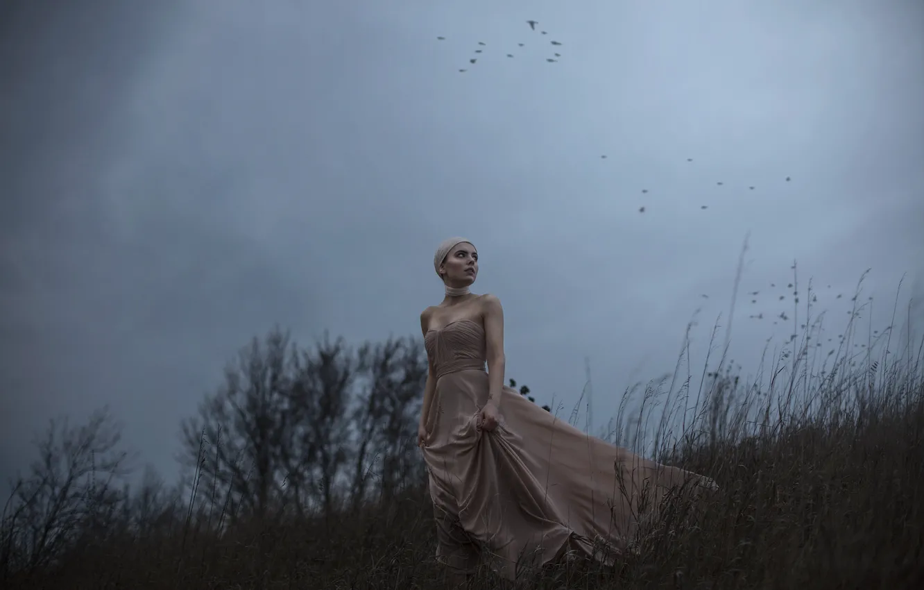 Фото обои девушка, птицы, ветер, платье, Aleah Michele, The side of a dying hill
