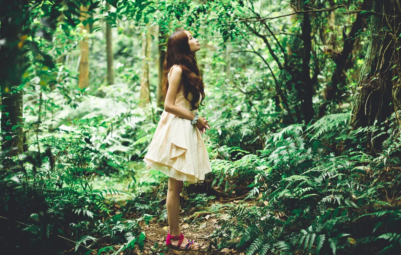 Фото обои лес, девушка, азиатка