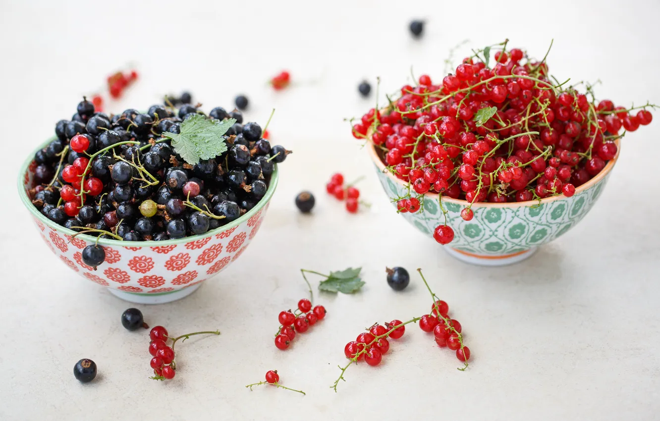 Фото обои ягоды, тарелки, черная, красная, смородина, Julia Khusainova