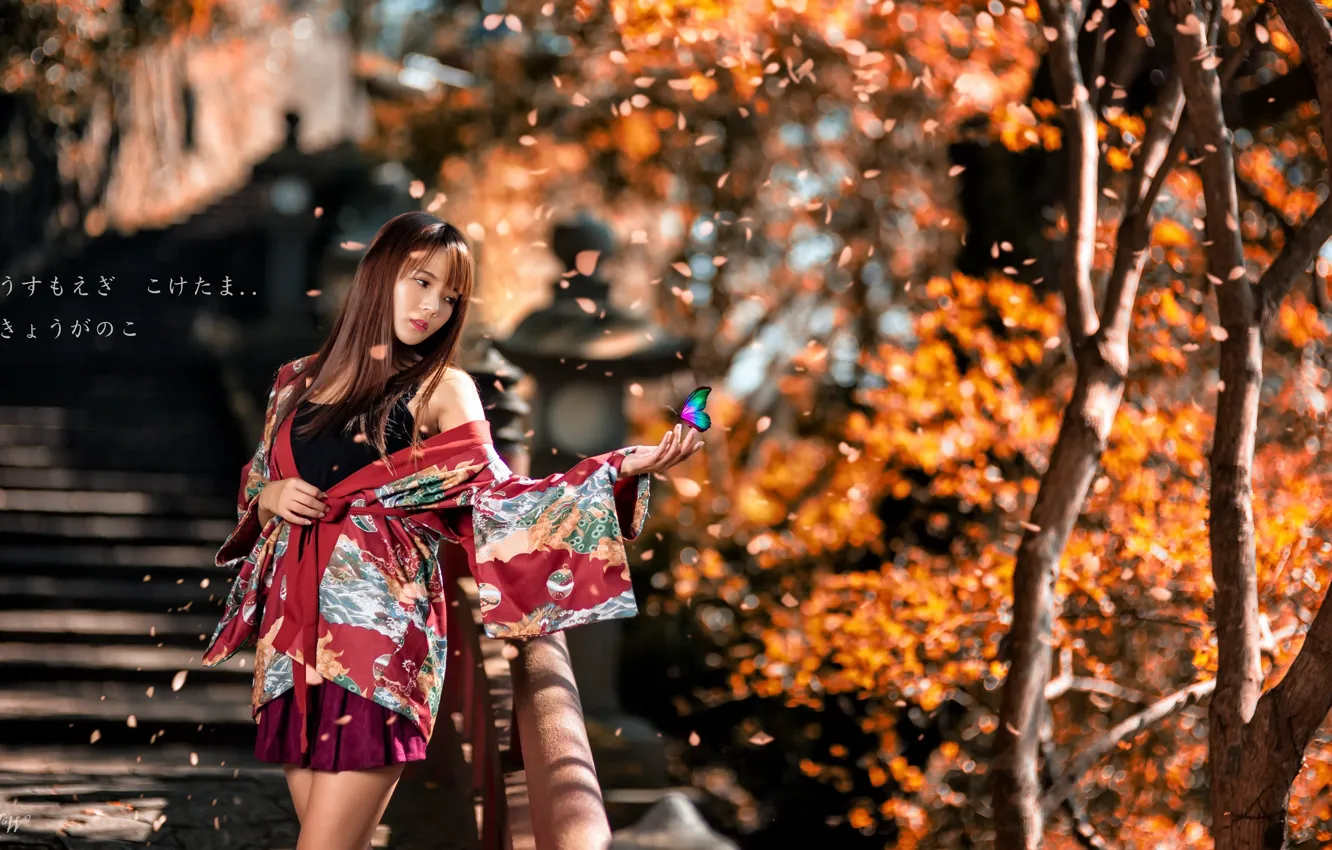 Фото обои осень, девушка, азиатка