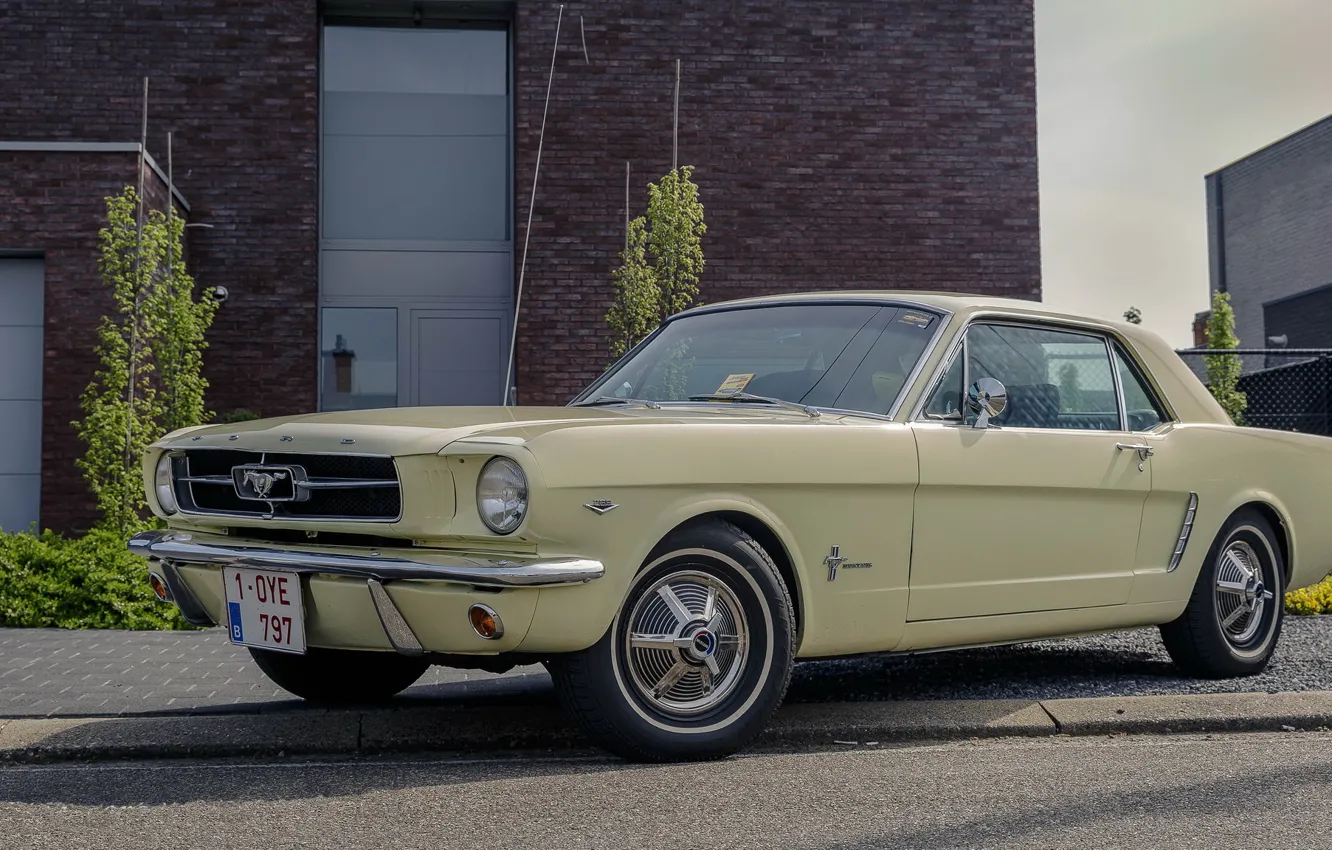 Фото обои Mustang, Ford, old, 1964