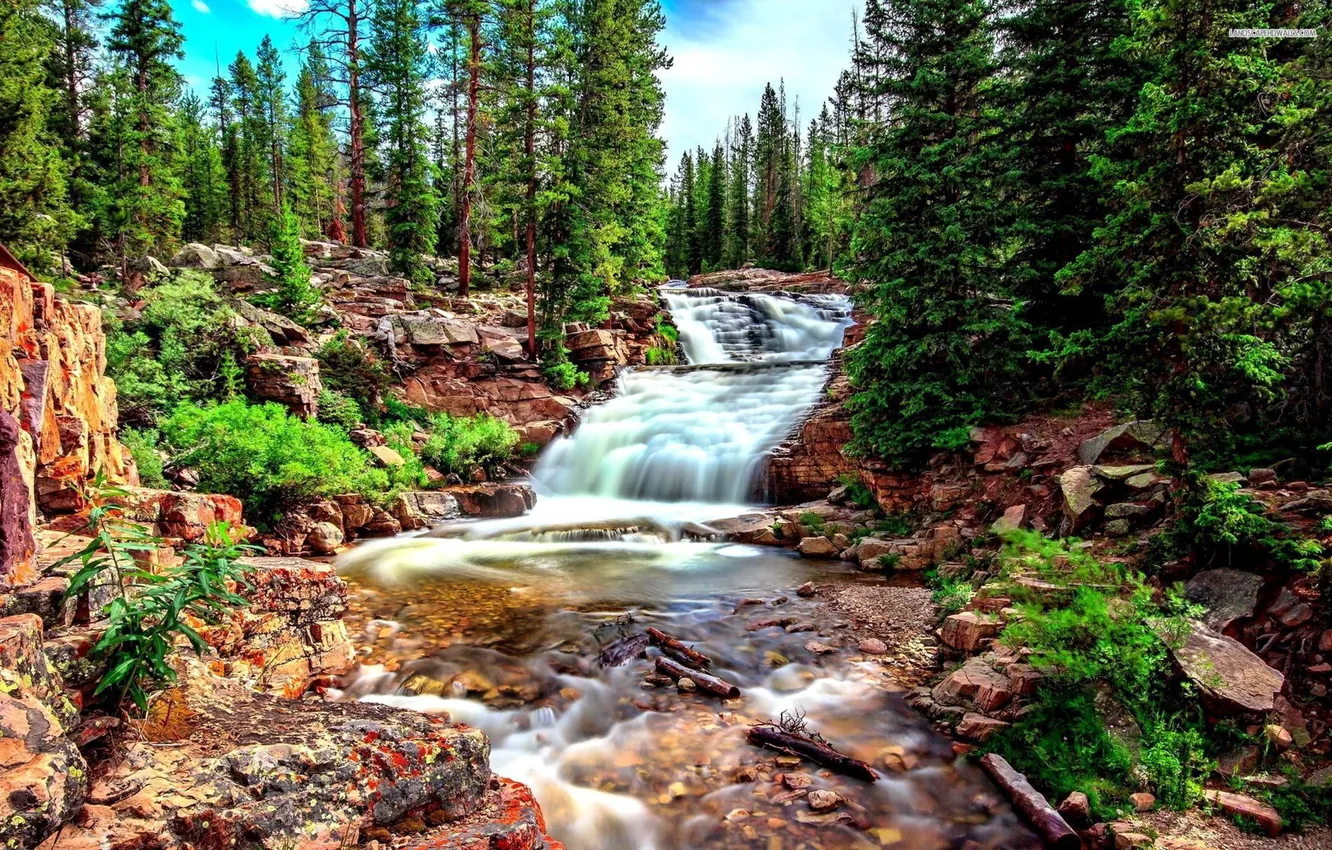 Фото обои rock, forest, river, tree, waterfall