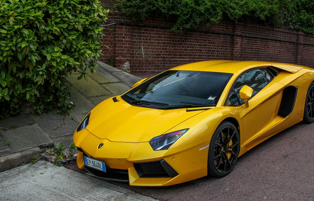 Фото обои Lamborghini, V12, Yellow, London, LP700-4, Aventador, Supercars, Exotic