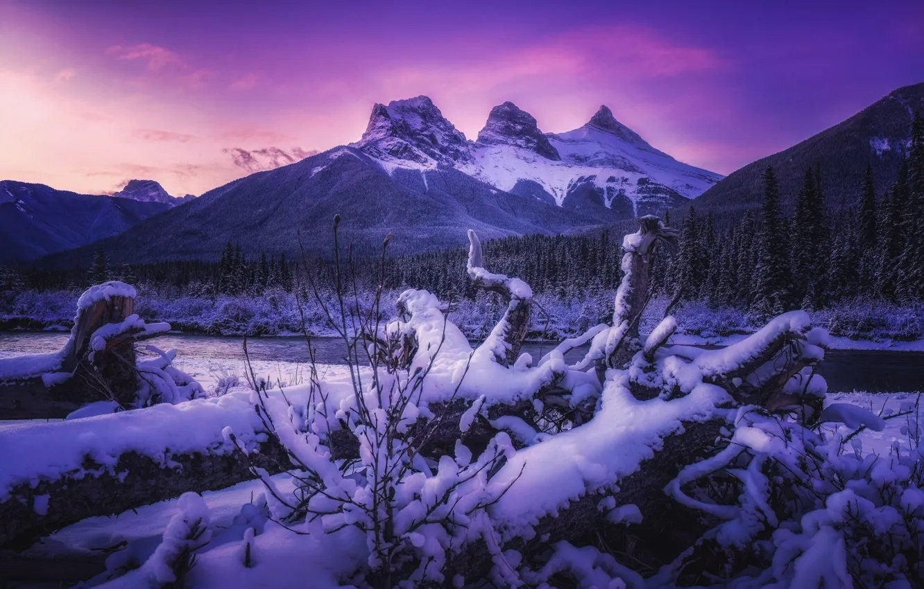 Фото обои зима, лес, снег, деревья, закат, горы, река, Канада