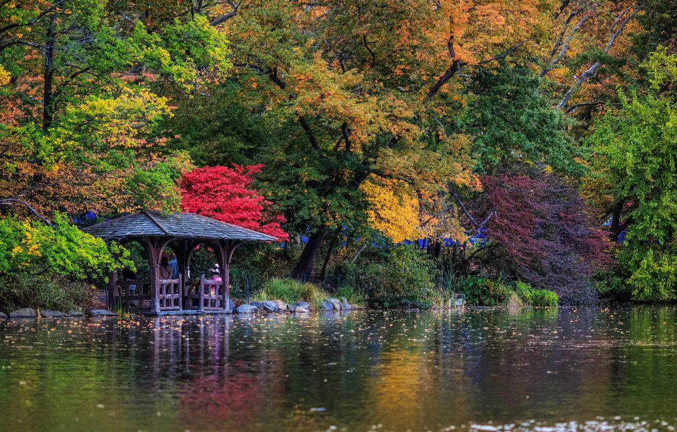 Фото обои осень, деревья, озеро, Нью-Йорк, беседка, New York City, Центральный парк, Central Park