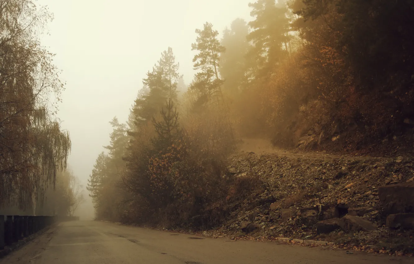 Фото обои Дорога, Туман, Осень, Деревья, Fall, Autumn, Road, Fog