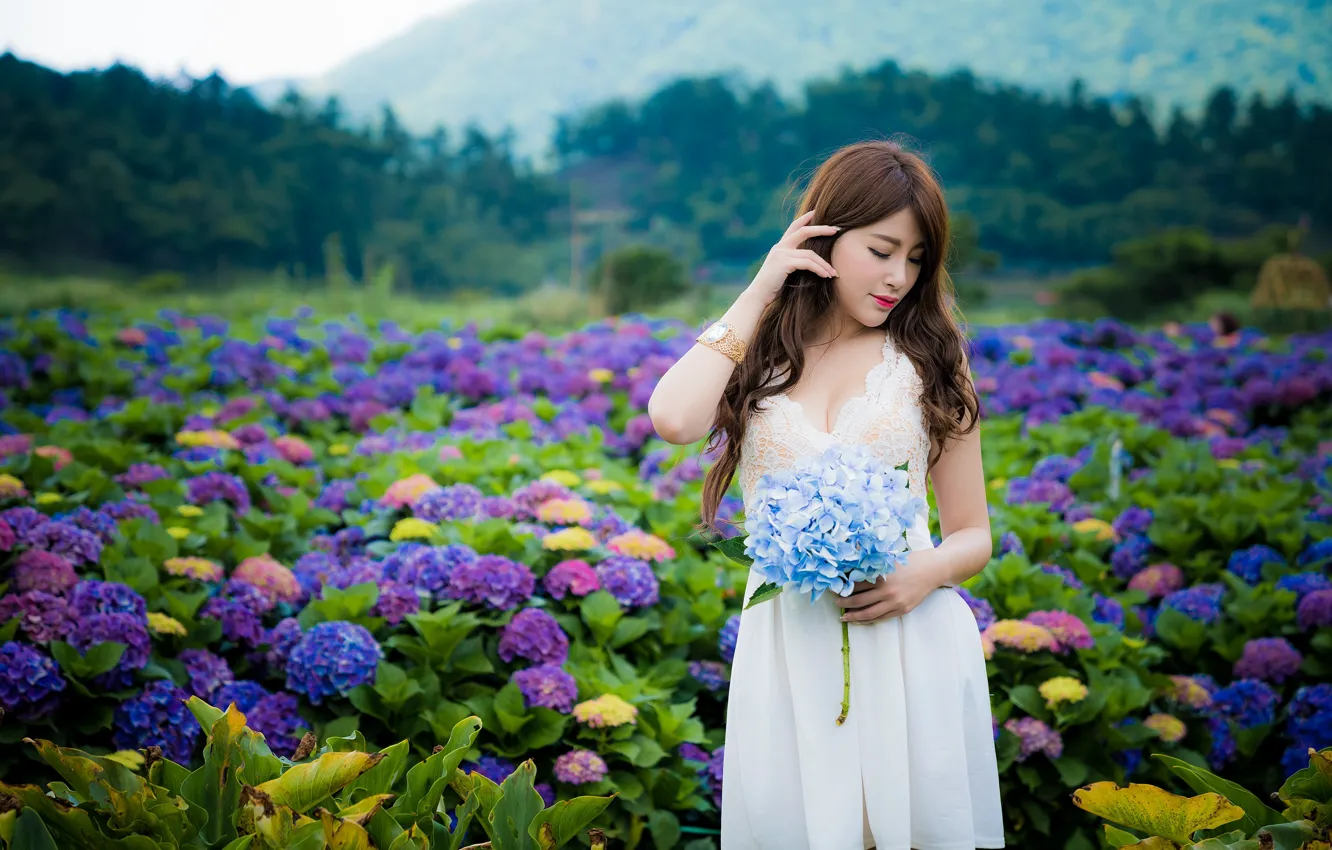 Фото обои девушка, цветы, азиатка, боке, гортензии