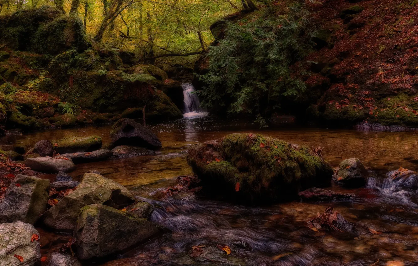 Фото обои осень, лес, листья, темный фон, камни, берег, течение, водопад