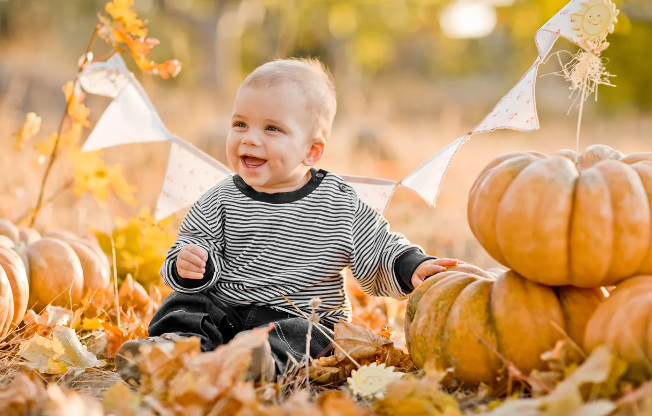 Фото обои осень, листья, радость, мальчик, тыквы, ребёнок