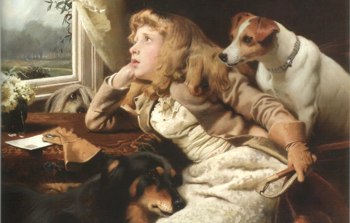 Фото обои окно, девочка, три собаки, BARBER, NO RIDE TODAY