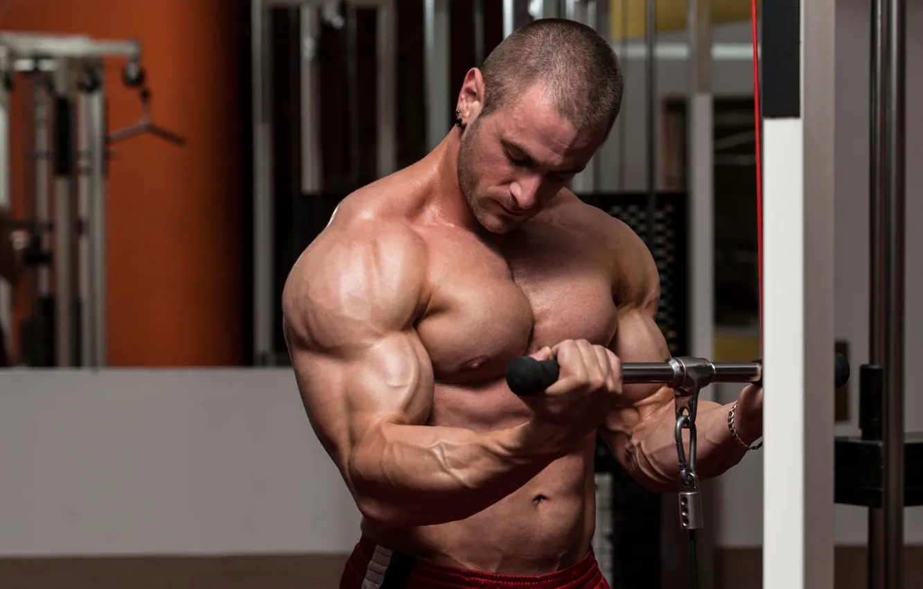 Фото обои поза, спорт, зал, muscle, мышцы, тренировка, бицепс, gym