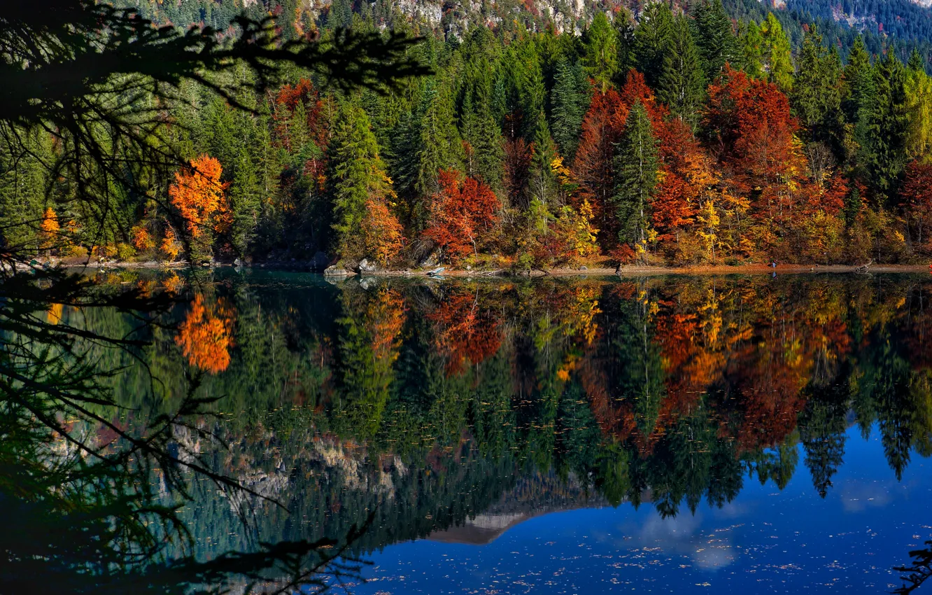 Фото обои осень, лес, деревья, озеро, отражение, Италия, Italy, Trentino