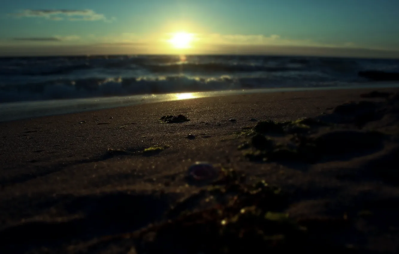 Фото обои песок, море, вода, солнце, макро, лучи, пейзаж, восход