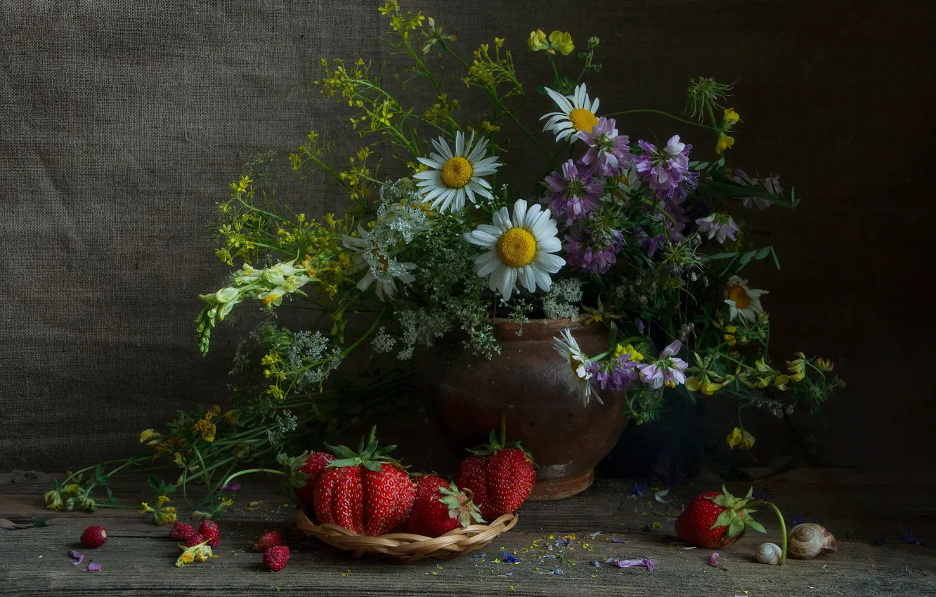 Фото обои цветы, ягоды, ромашки, букет, желтые, клубника, горшок, клевер