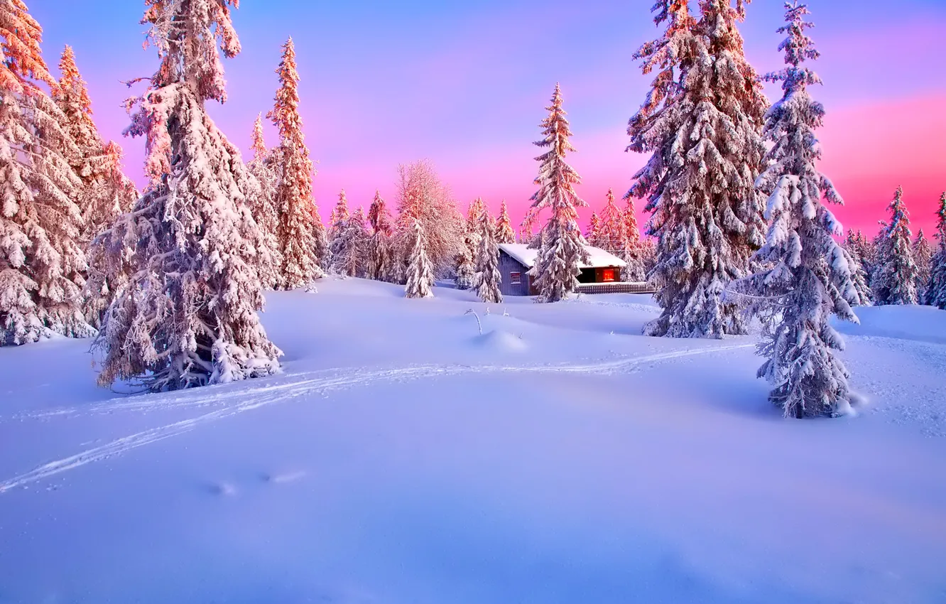 Фото обои зима, лес, небо, снег, закат, дом, ель, зарево