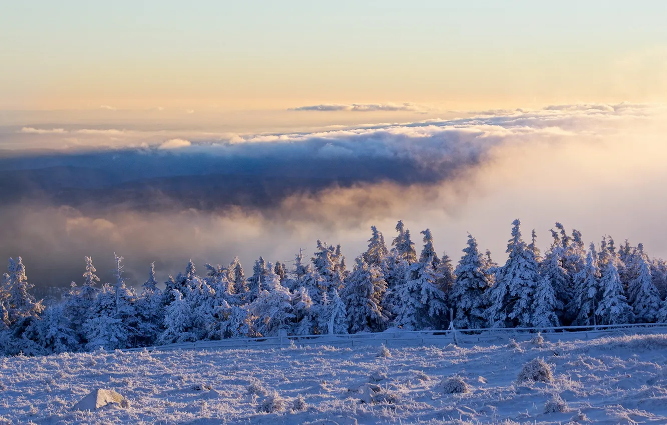 Фото обои Winter, Schnee, Brocken, Wolken, Harz, Morgen