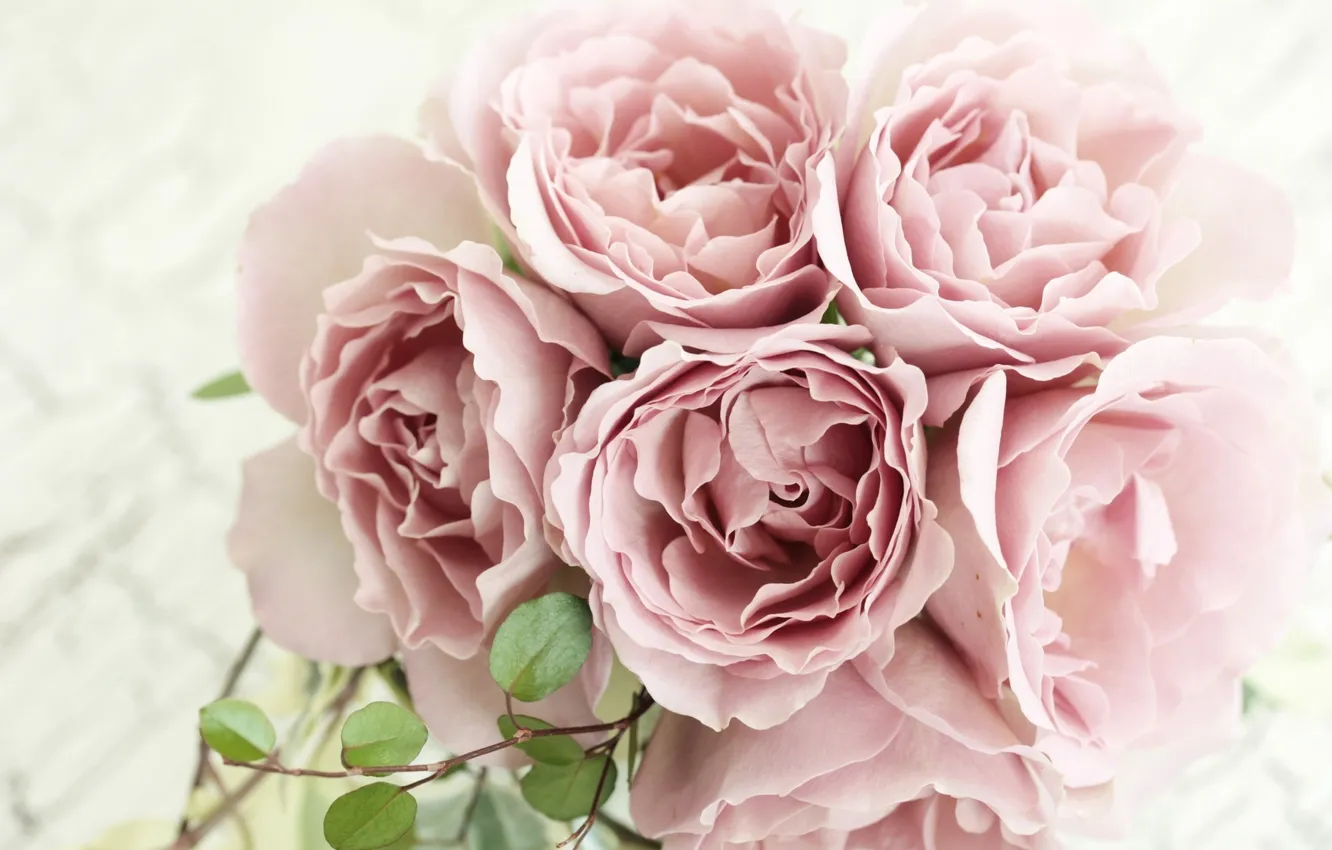 Фото обои розы, букет, лепестки, розовые