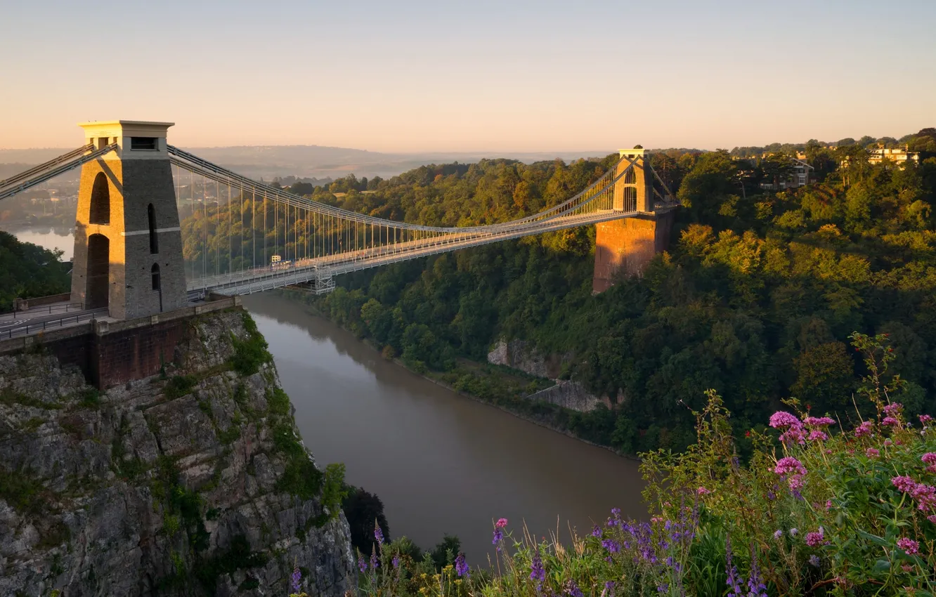 Фото обои цветы, мост, река, Англия, панорама, England, Bristol, Бристоль
