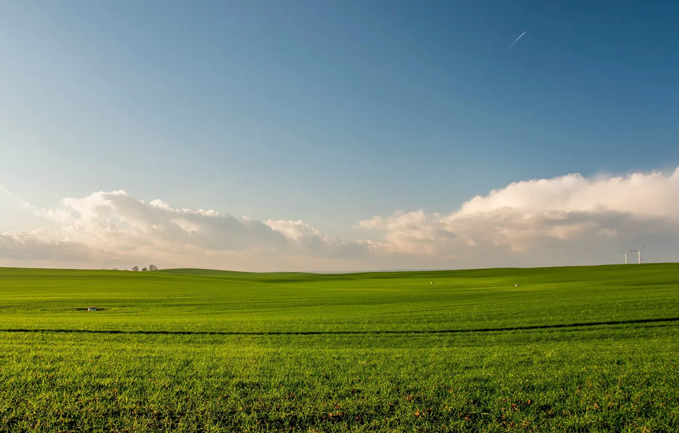 Фото обои поле, свобода, облака, зеленая трава, простор, field, clouds, blue sky