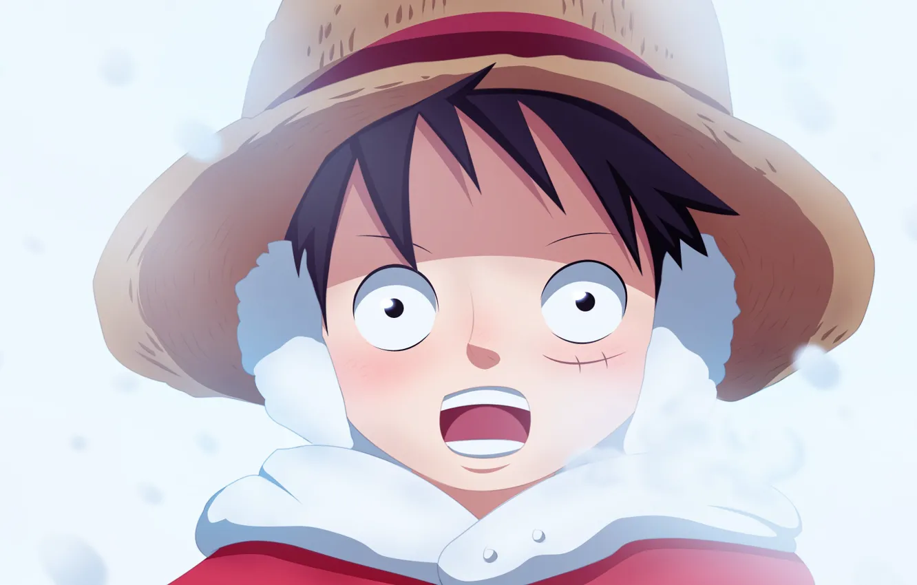 Фото обои зима, шапка, мальчик, One Piece, шрам