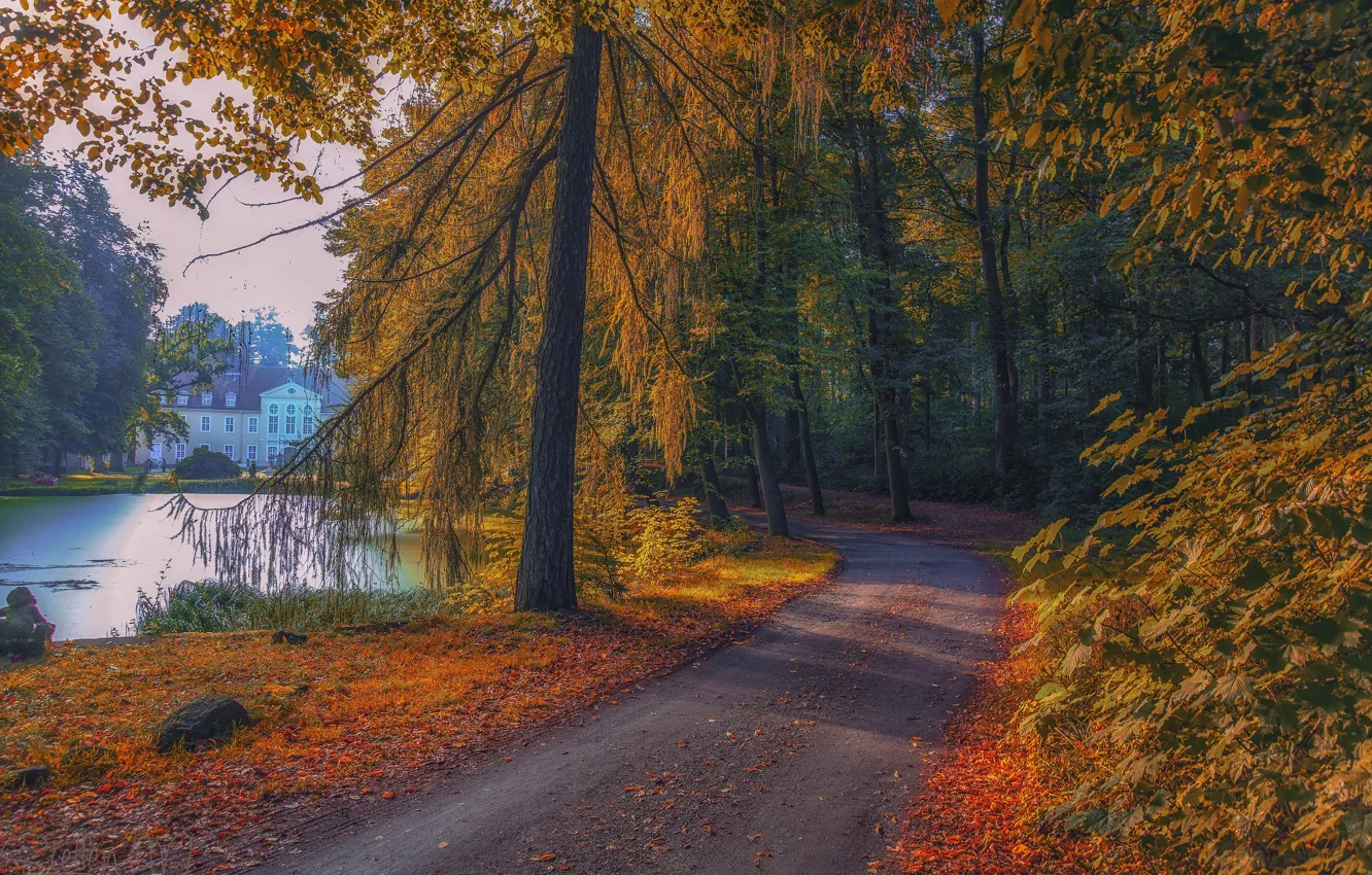 Фото обои дорога, осень, лес, деревья, озеро, парк, здание