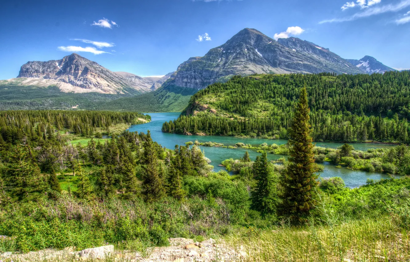 Фото обои лес, пейзаж, горы, природа, парк, HDR, США, Glacier