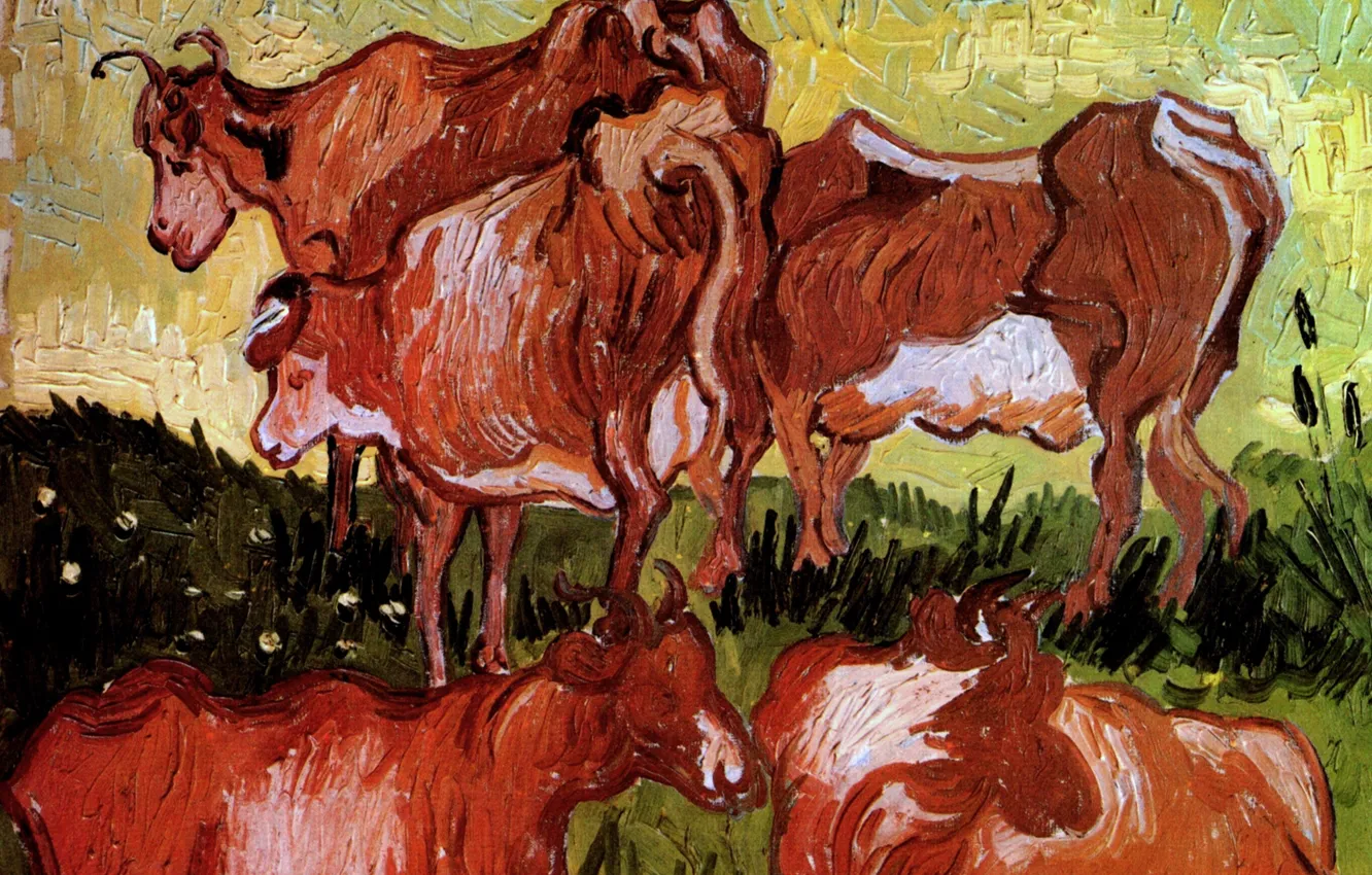 Фото обои коровы, Vincent van Gogh, Auvers sur Oise, Cows after Jordaens