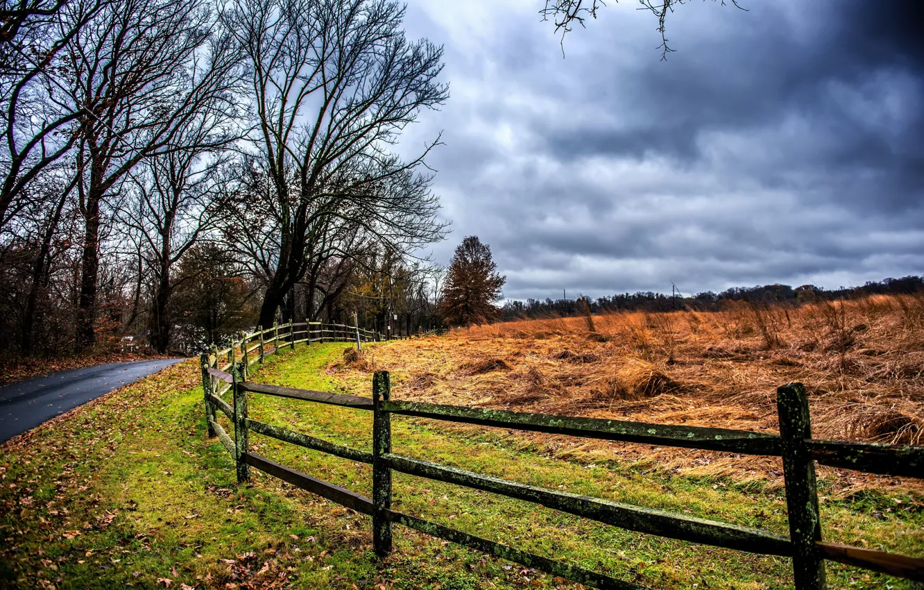 Фото обои rain, fence, Curve, Carelessly