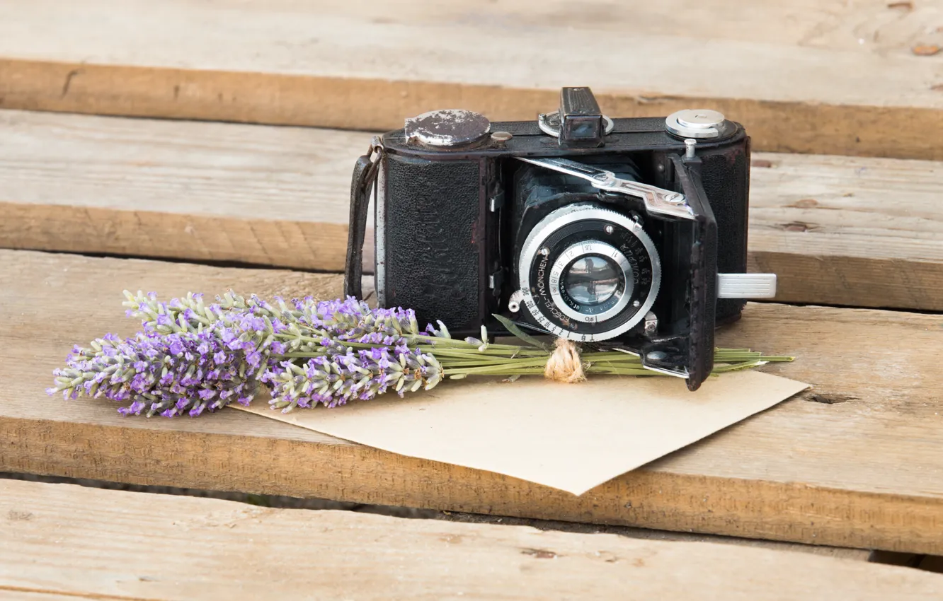 Фото обои цветы, фотоаппарат, лаванда, конверт