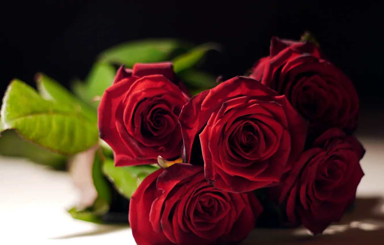Фото обои розы, букет, бутоны