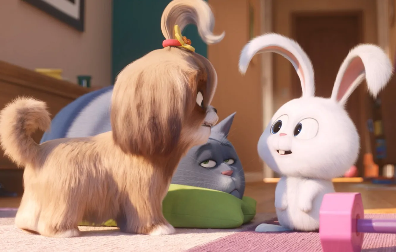 Фото обои кошка, кролик, щенок, Тайная жизнь домашних животных 2, The Secret Life of Pets 2