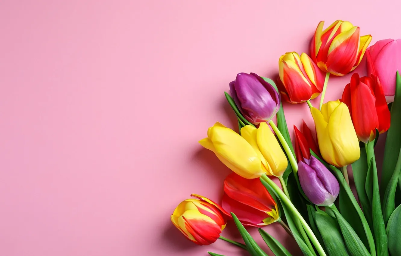 Фото обои цветы, букет, colorful, тюльпаны, flowers, tulips, spring, bouquet