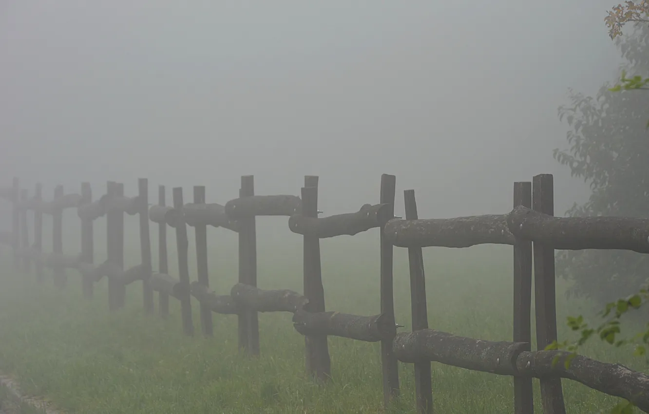 Фото обои Поле, Туман, Трава, Grass, Fog, Field