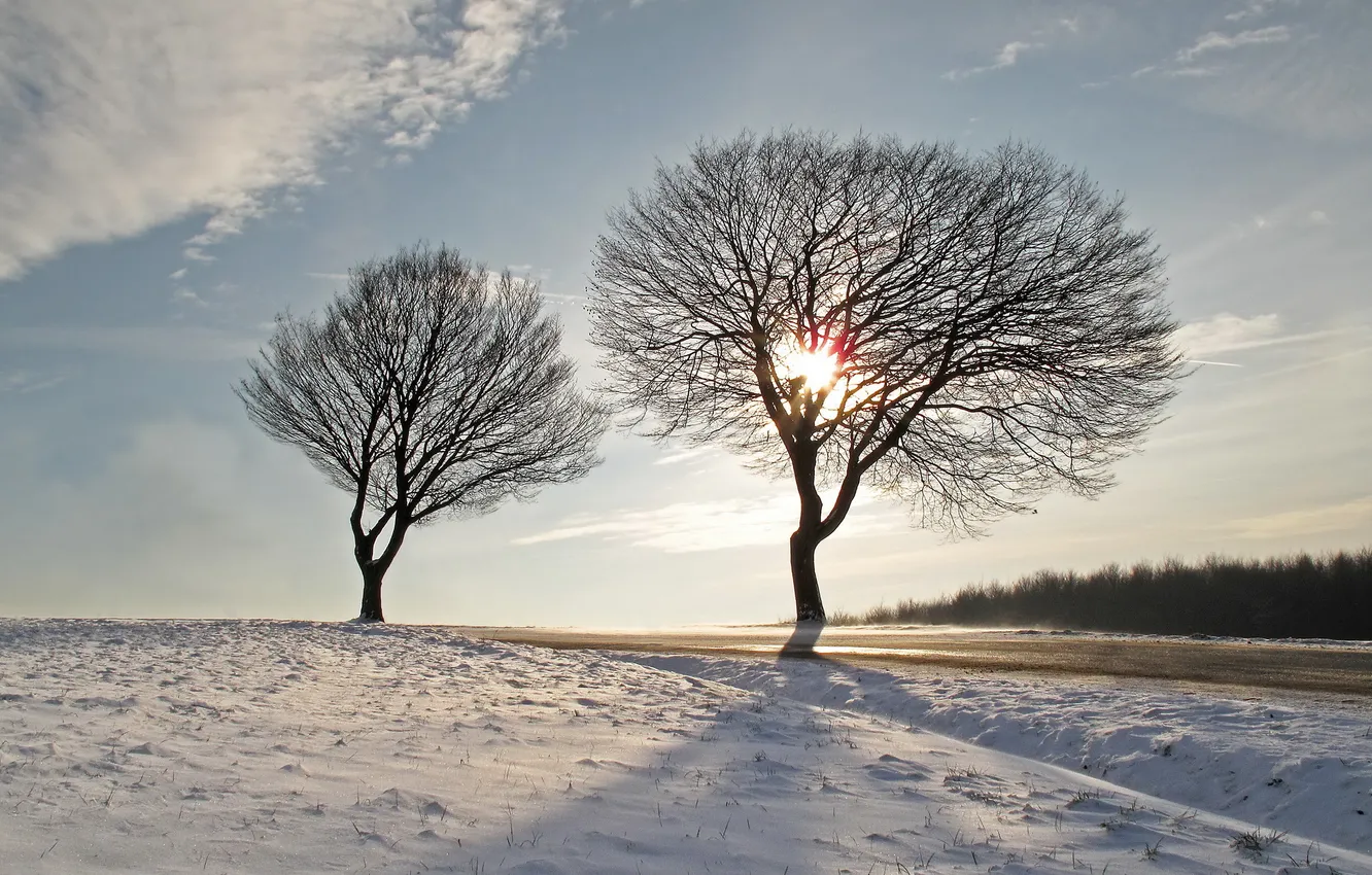 Фото обои зима, дорога, небо, деревья, пейзаж