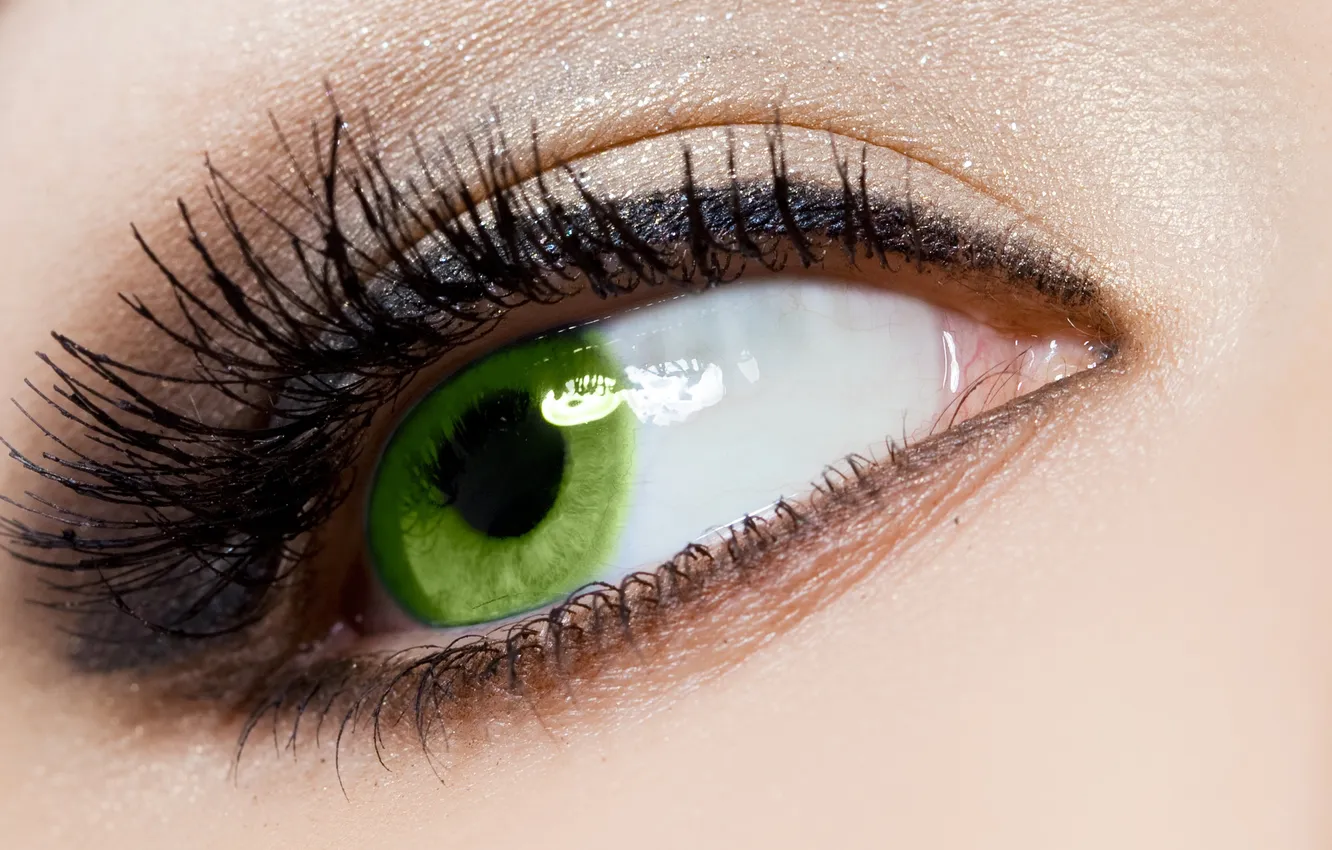 Фото обои зеленый, ресницы, макияж, зрачок, женский глаз