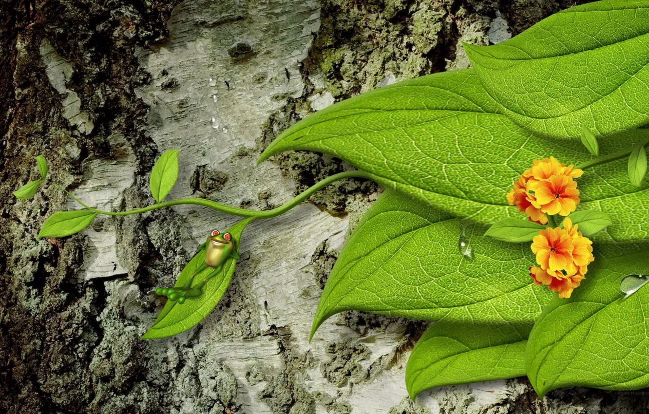 Фото обои листья, капли, цветы, дерево, лягушка, кора