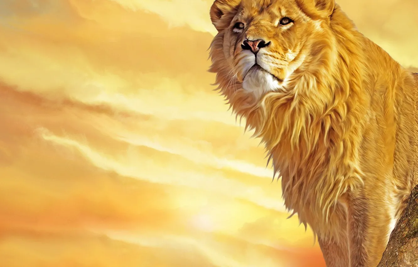 Фото обои желтый, грива, Лев, царь зверей