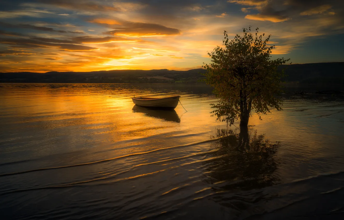 Фото обои закат, река, дерево, лодка