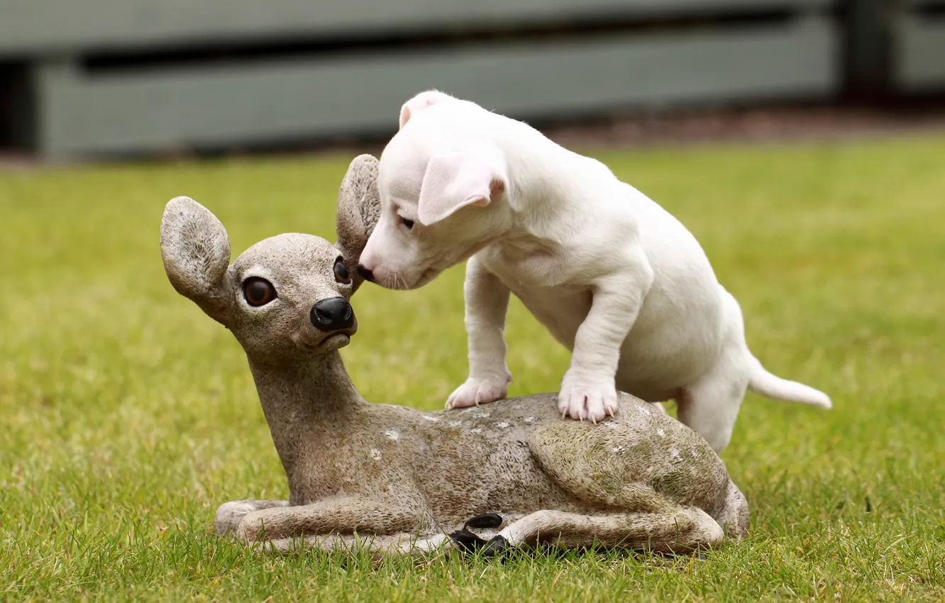 Фото обои собака, щенок, скульптура, оленёнок, Джек-рассел-терьер