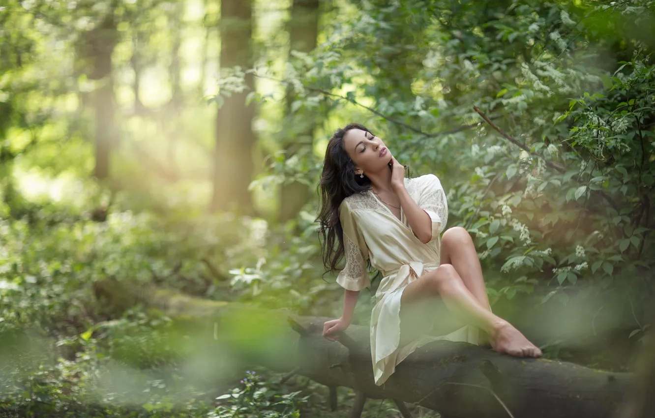 Фото обои деревья, природа, листва, платье, ножки, dress, legs, trees