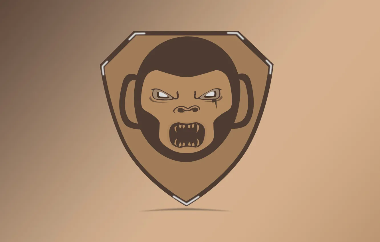 Фото обои злость, логотип, обезьяна, щит